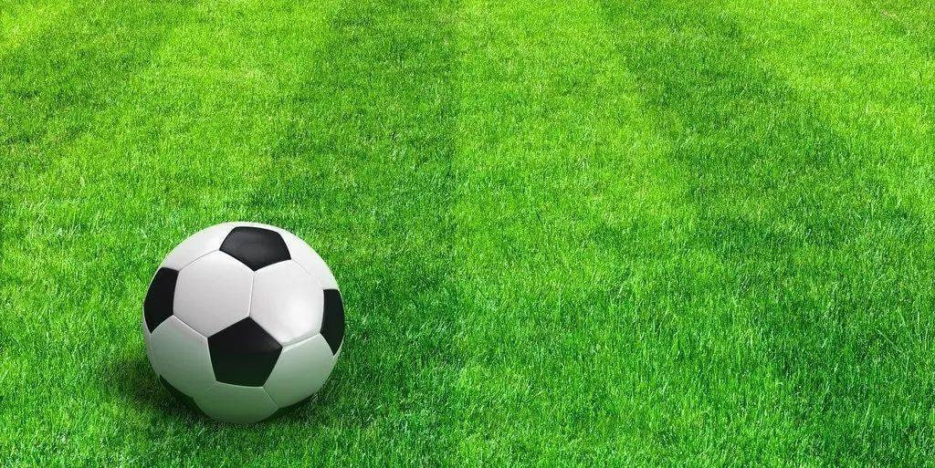 首页 竞彩网数据分析图表